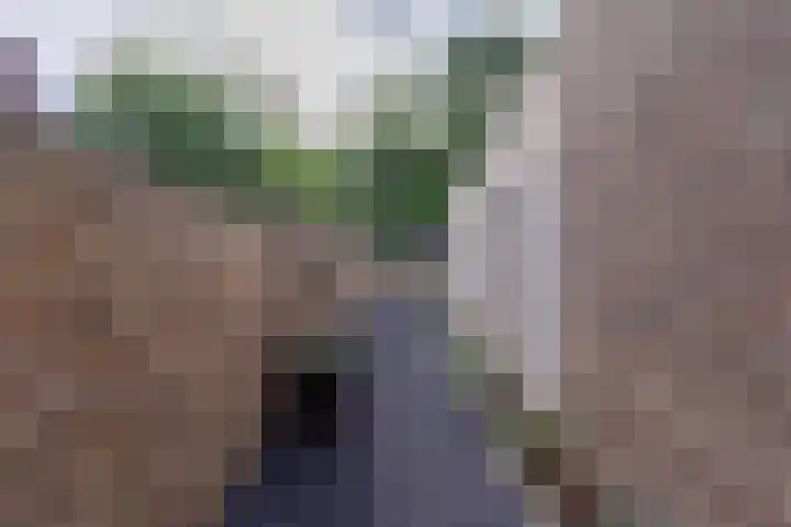 Oostbroek 5 Geulle thumbnail 30