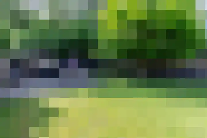 Oostbroek 5 Geulle thumbnail 32