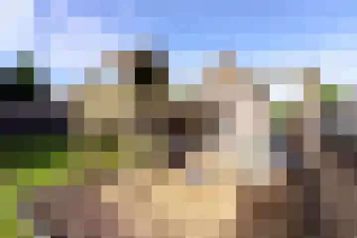 Oostbroek 5 Geulle thumbnail 36