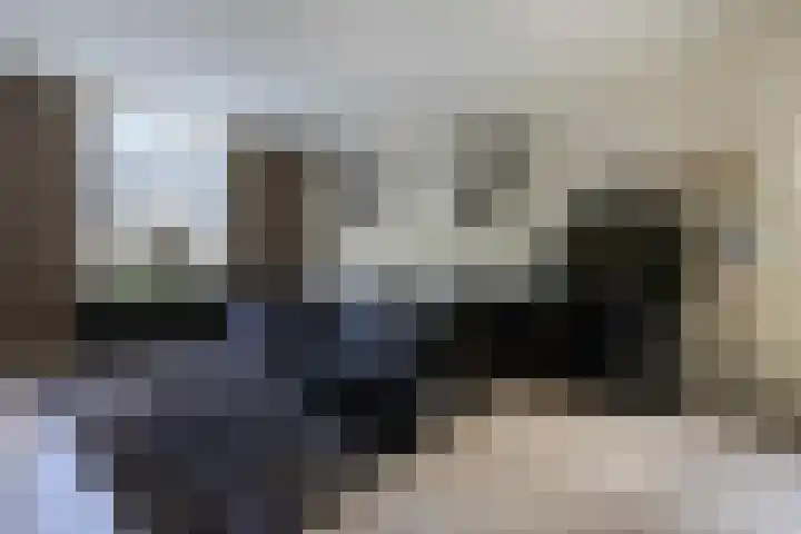 Oostbroek 5 Geulle thumbnail 4