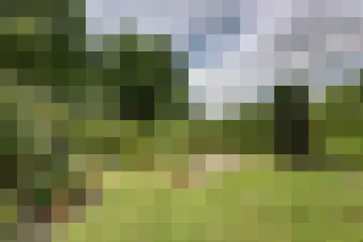 Oostbroekselaan 54 A Utrecht thumbnail 11