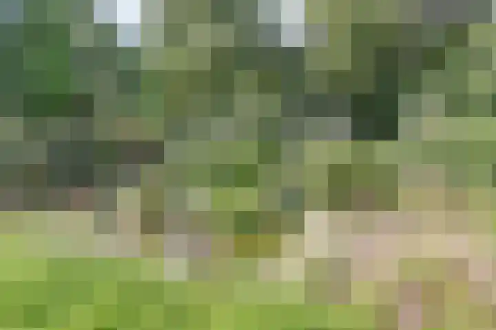 Oostbroekselaan 54 A Utrecht thumbnail 12