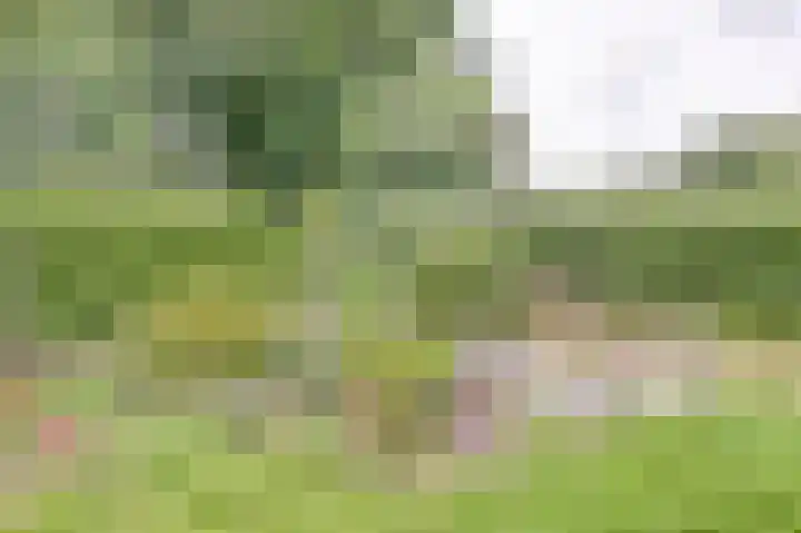 Oostbroekselaan 54 A Utrecht thumbnail 13