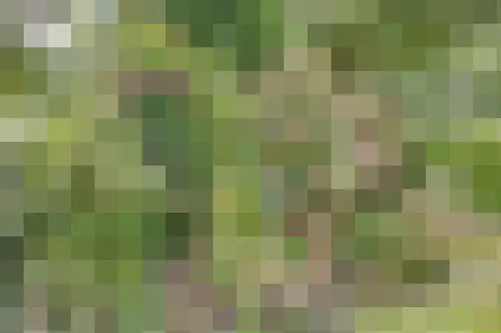 Oostbroekselaan 54 A Utrecht thumbnail 14