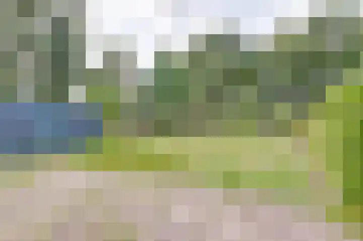 Oostbroekselaan 54 A Utrecht thumbnail 15