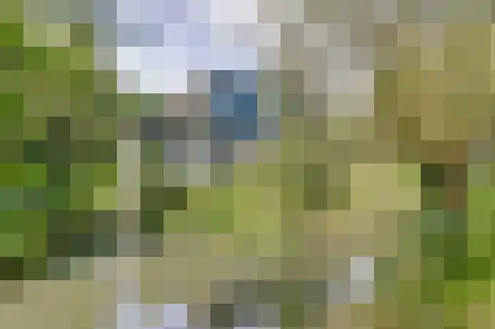 Oostbroekselaan 54 A Utrecht thumbnail 17