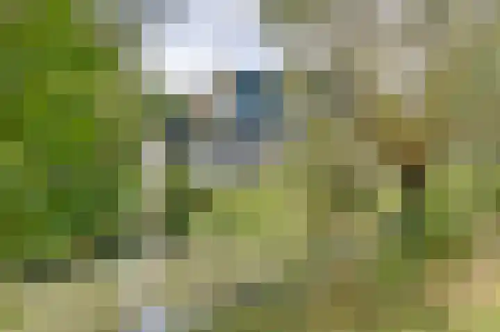 Oostbroekselaan 54 A Utrecht thumbnail 18
