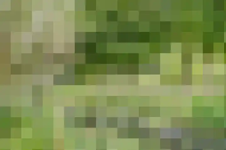 Oostbroekselaan 54 A Utrecht thumbnail 19