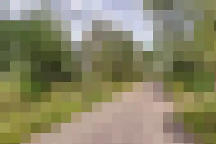Oostbroekselaan 54 A Utrecht thumbnail 20