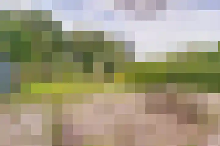 Oostbroekselaan 54 A Utrecht thumbnail 22