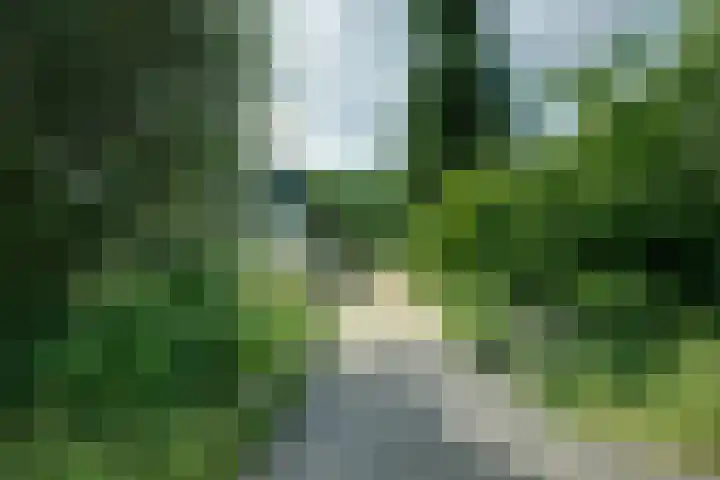 Oostbroekselaan 54 A Utrecht thumbnail 4