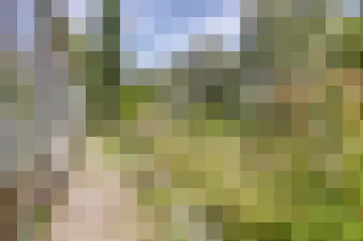 Oostbroekselaan 54 A Utrecht thumbnail 5