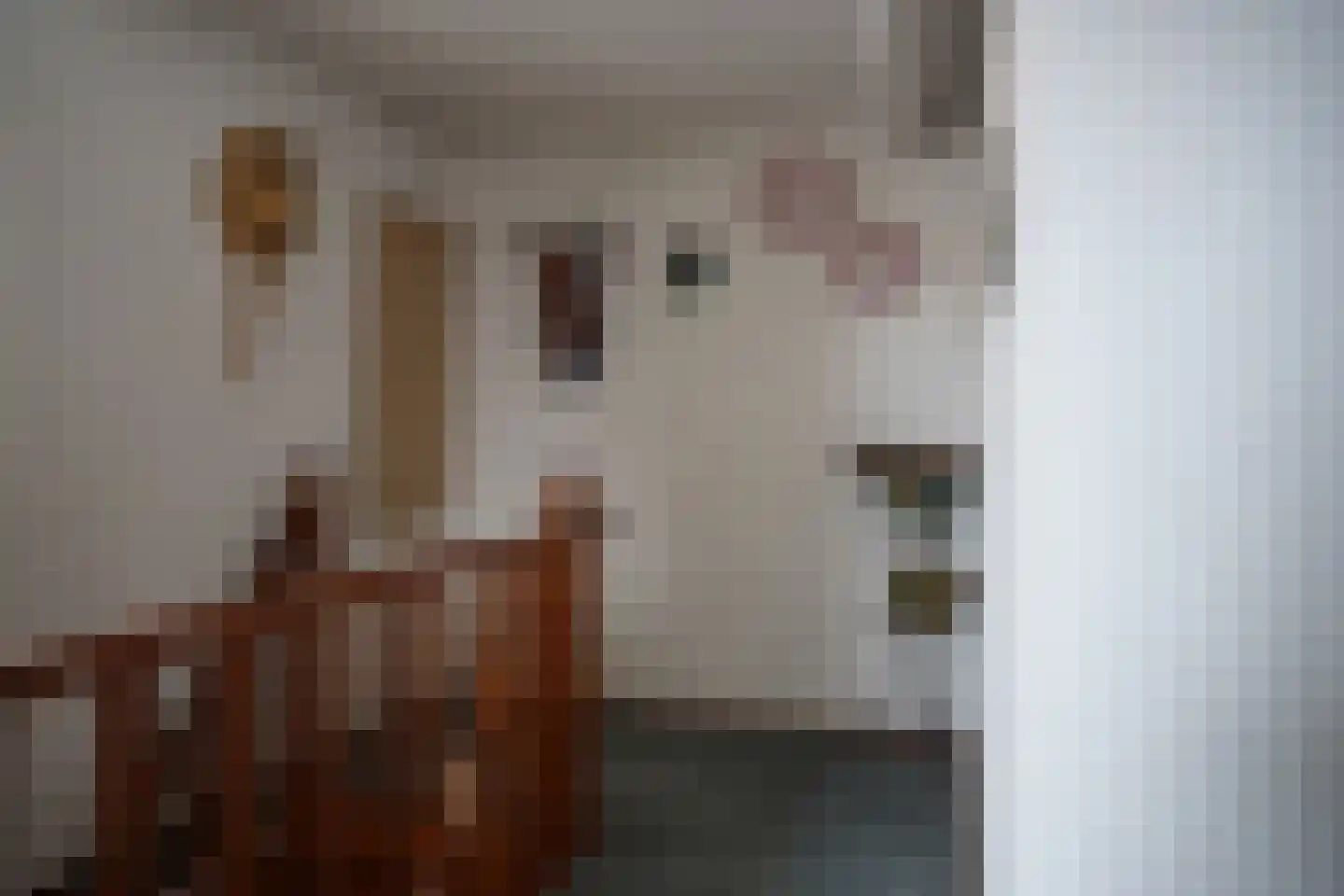 Oostburgsestraat 16 Zuidzande thumbnail 18