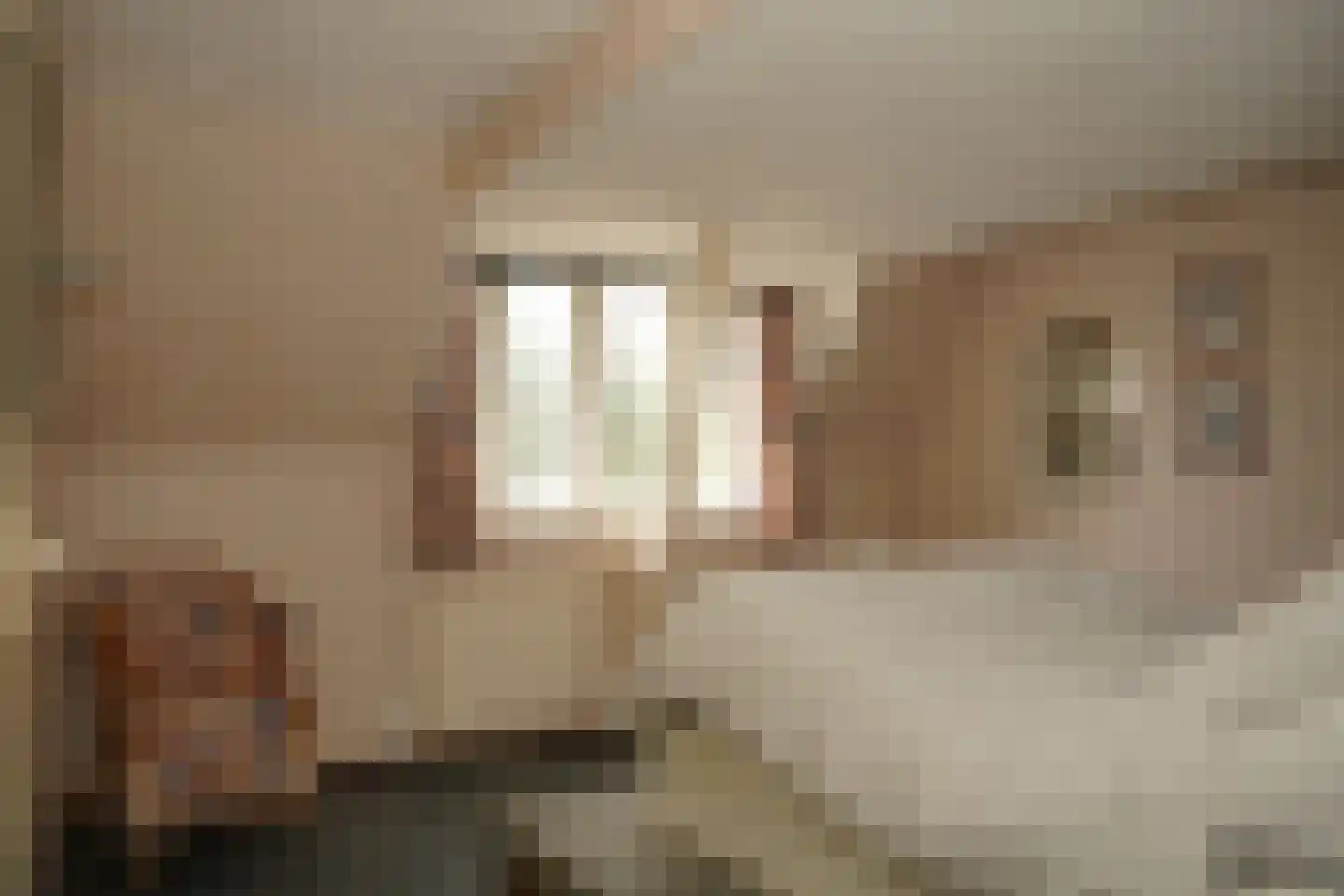 Oostburgsestraat 16 Zuidzande thumbnail 25