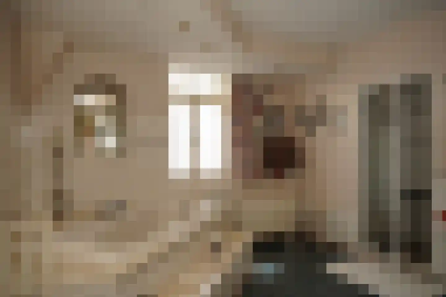 Oostburgsestraat 16 Zuidzande thumbnail 27