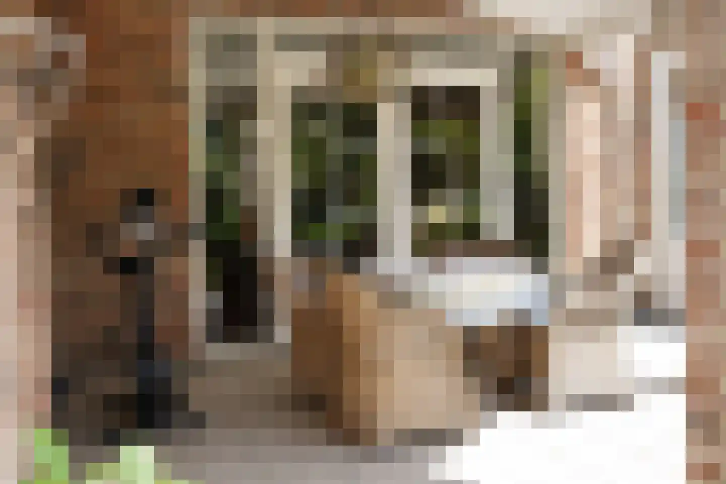 Oostburgsestraat 16 Zuidzande thumbnail 34