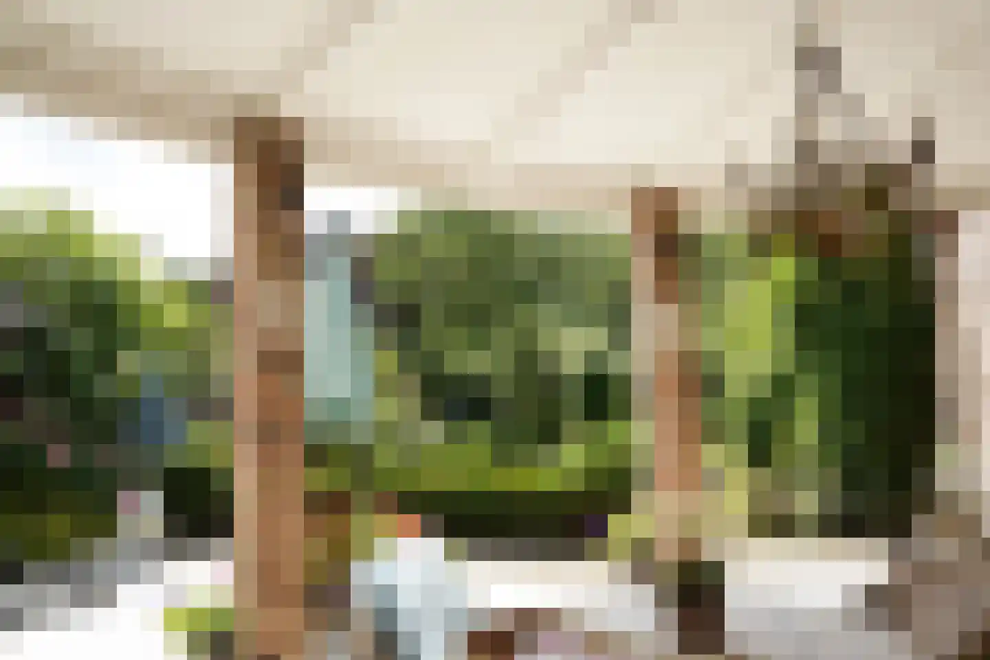 Oostburgsestraat 16 Zuidzande thumbnail 37
