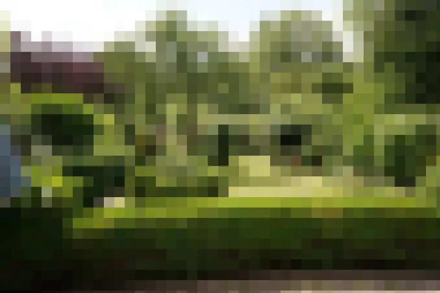 Oostburgsestraat 16 Zuidzande thumbnail 38