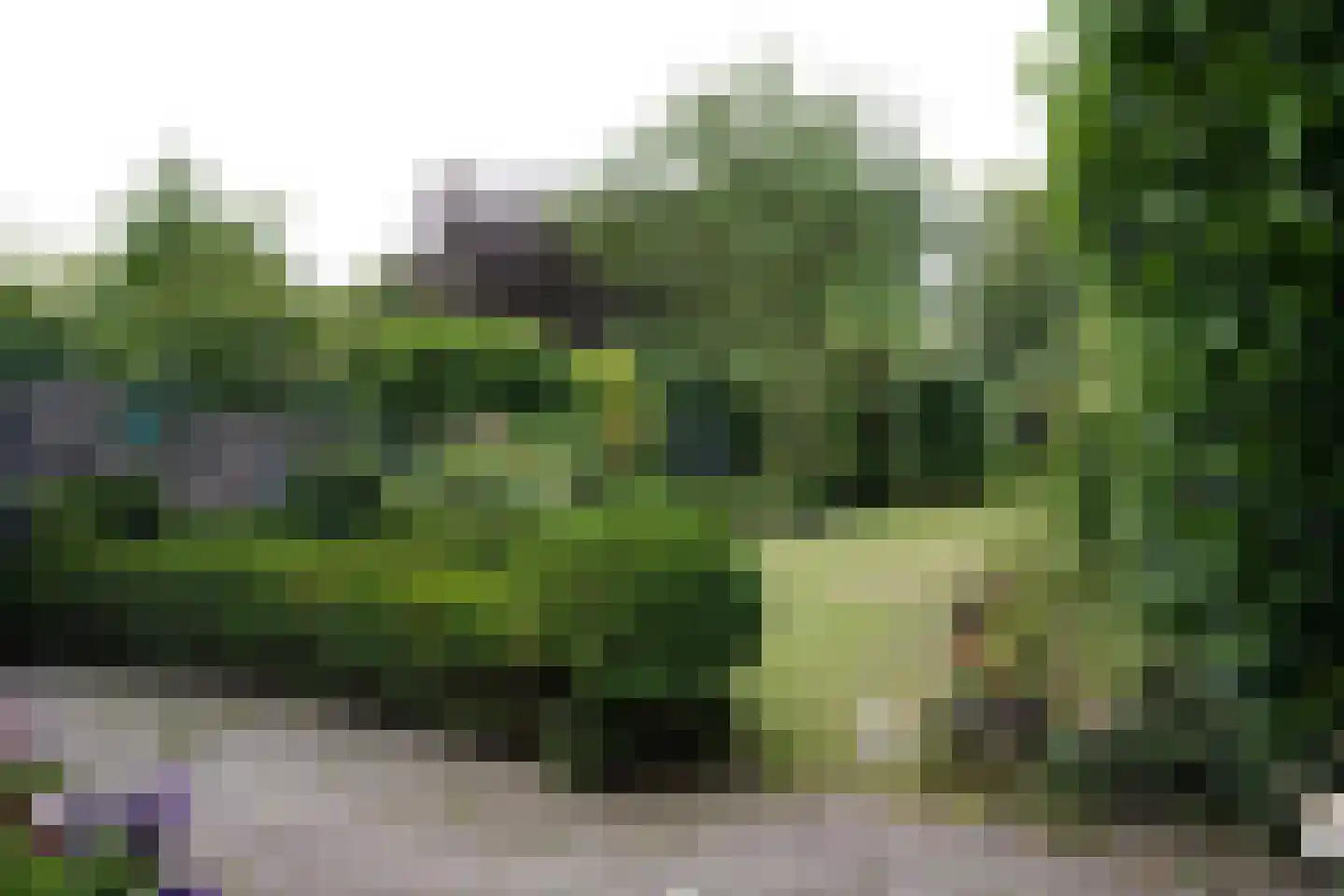 Oostburgsestraat 16 Zuidzande thumbnail 39