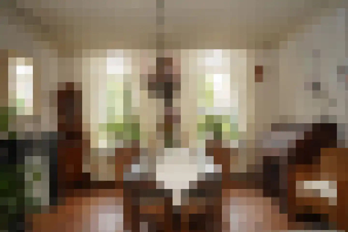 Oostburgsestraat 16 Zuidzande thumbnail 4