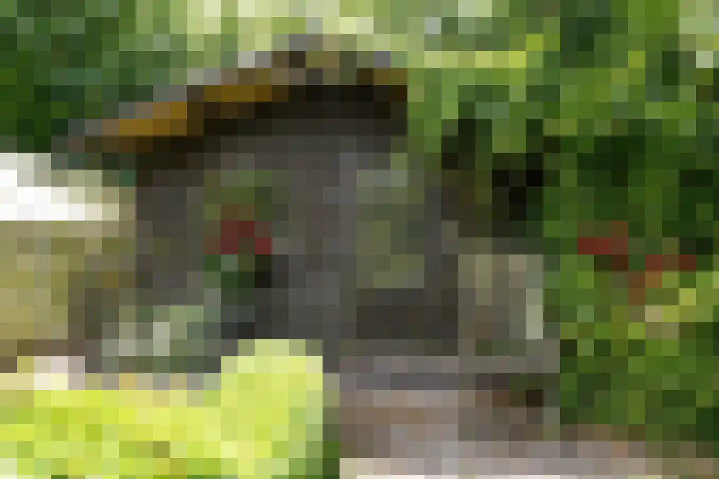 Oostburgsestraat 16 Zuidzande thumbnail 42
