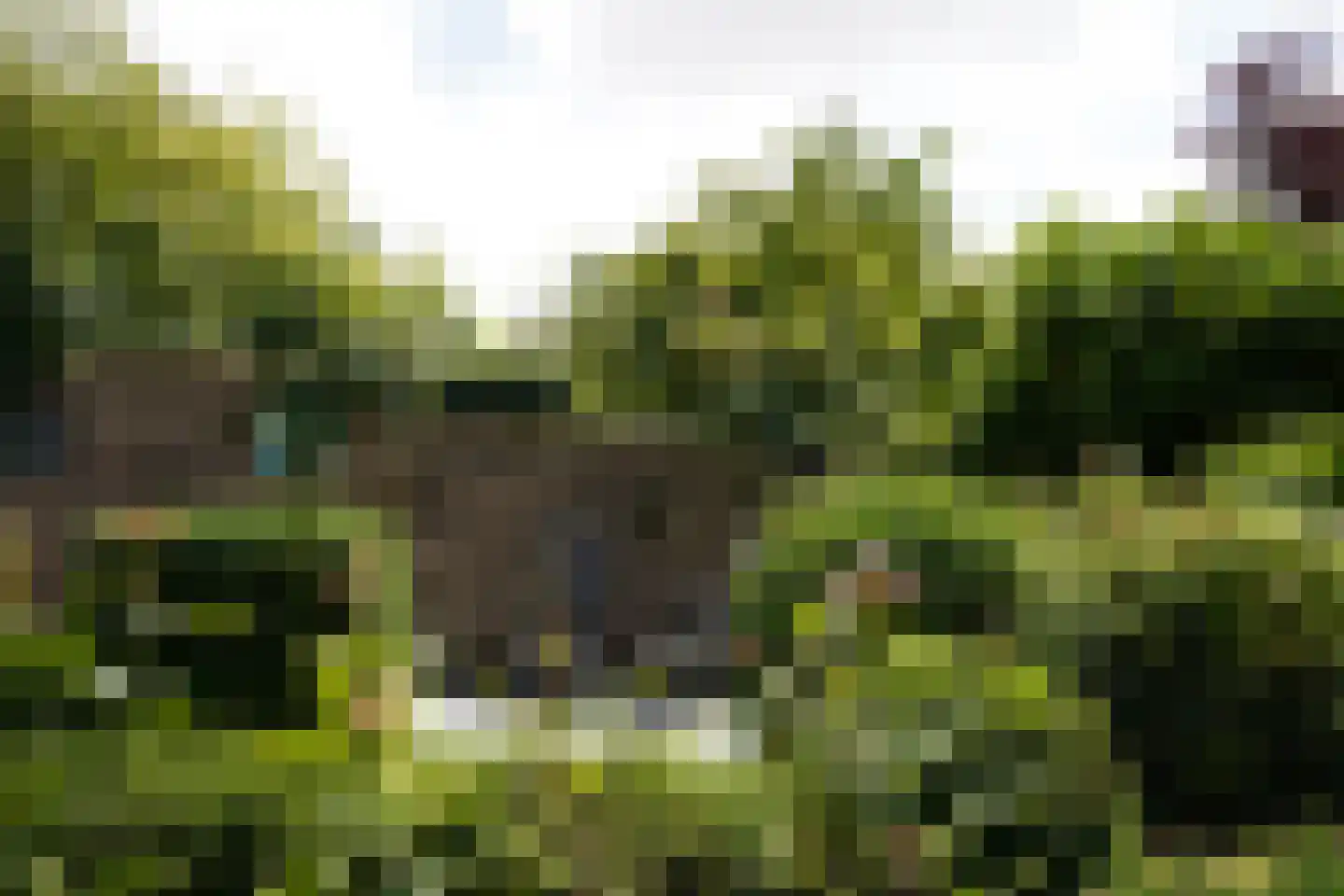 Oostburgsestraat 16 Zuidzande thumbnail 44