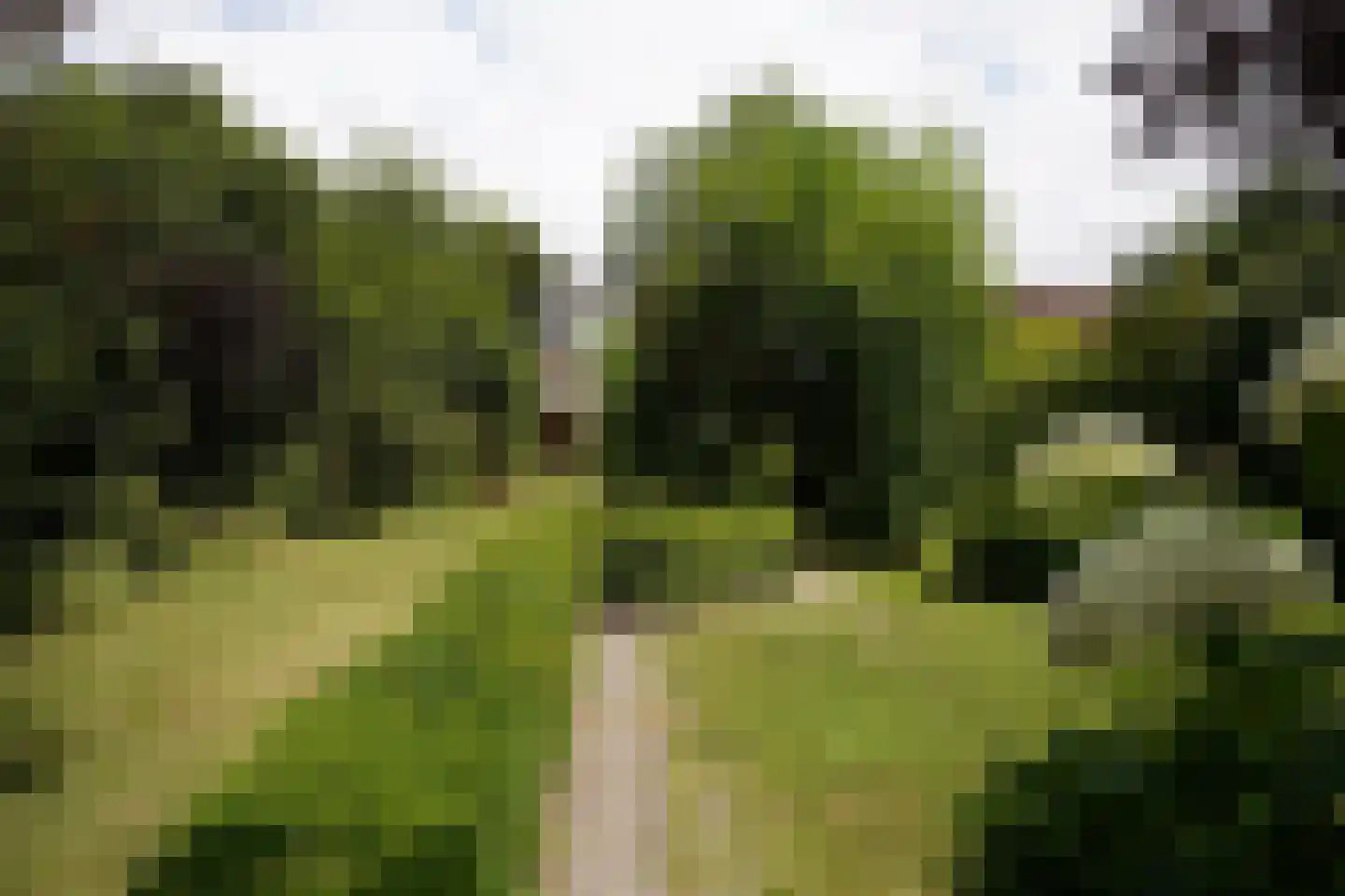 Oostburgsestraat 16 Zuidzande thumbnail 45