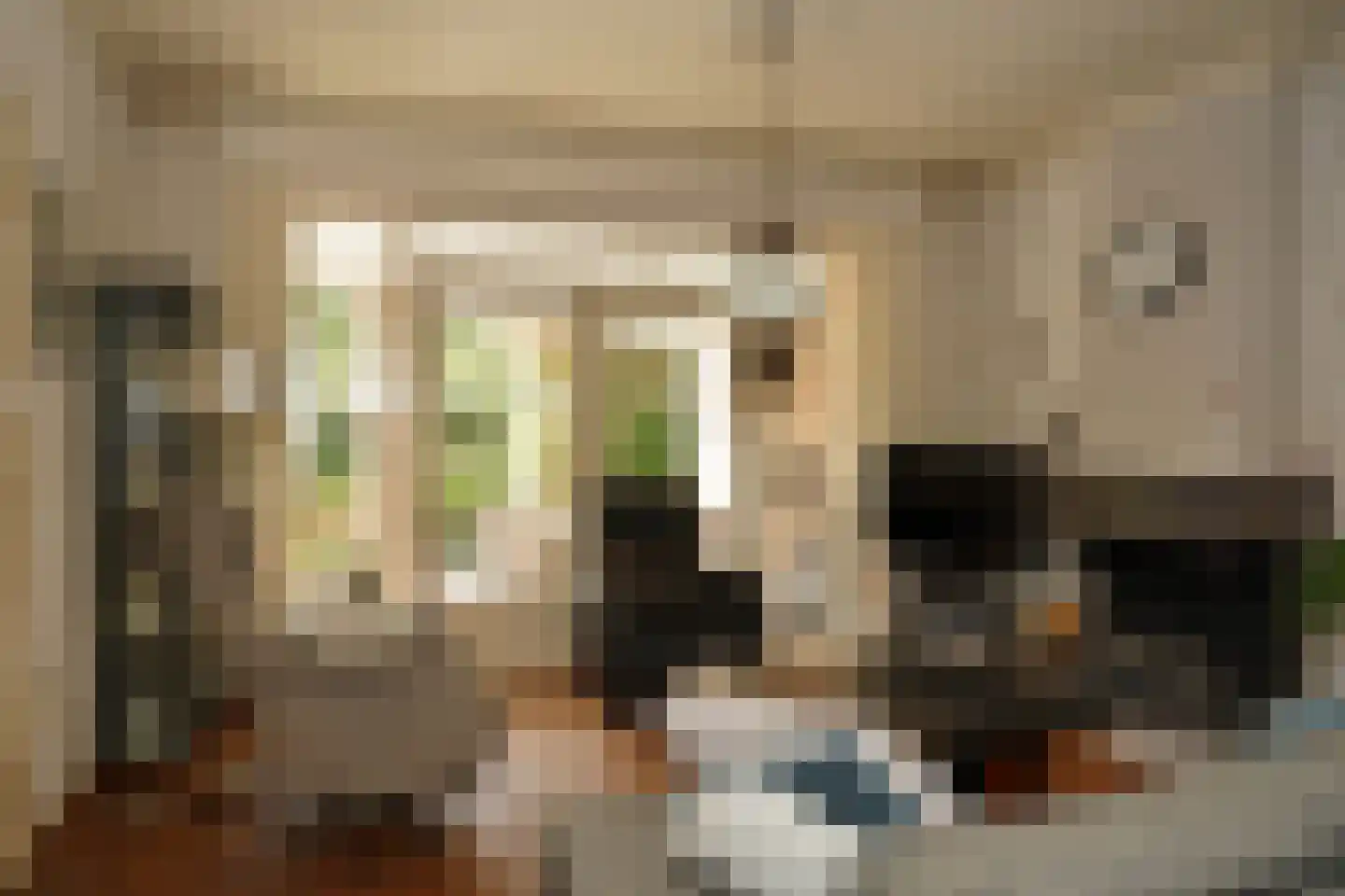 Oostburgsestraat 16 Zuidzande thumbnail 5