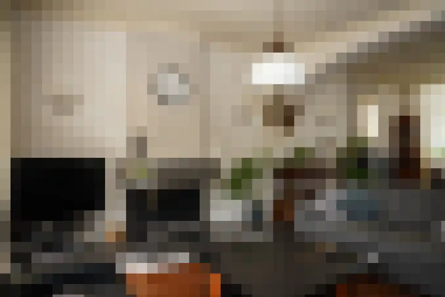 Oostburgsestraat 16 Zuidzande thumbnail 7