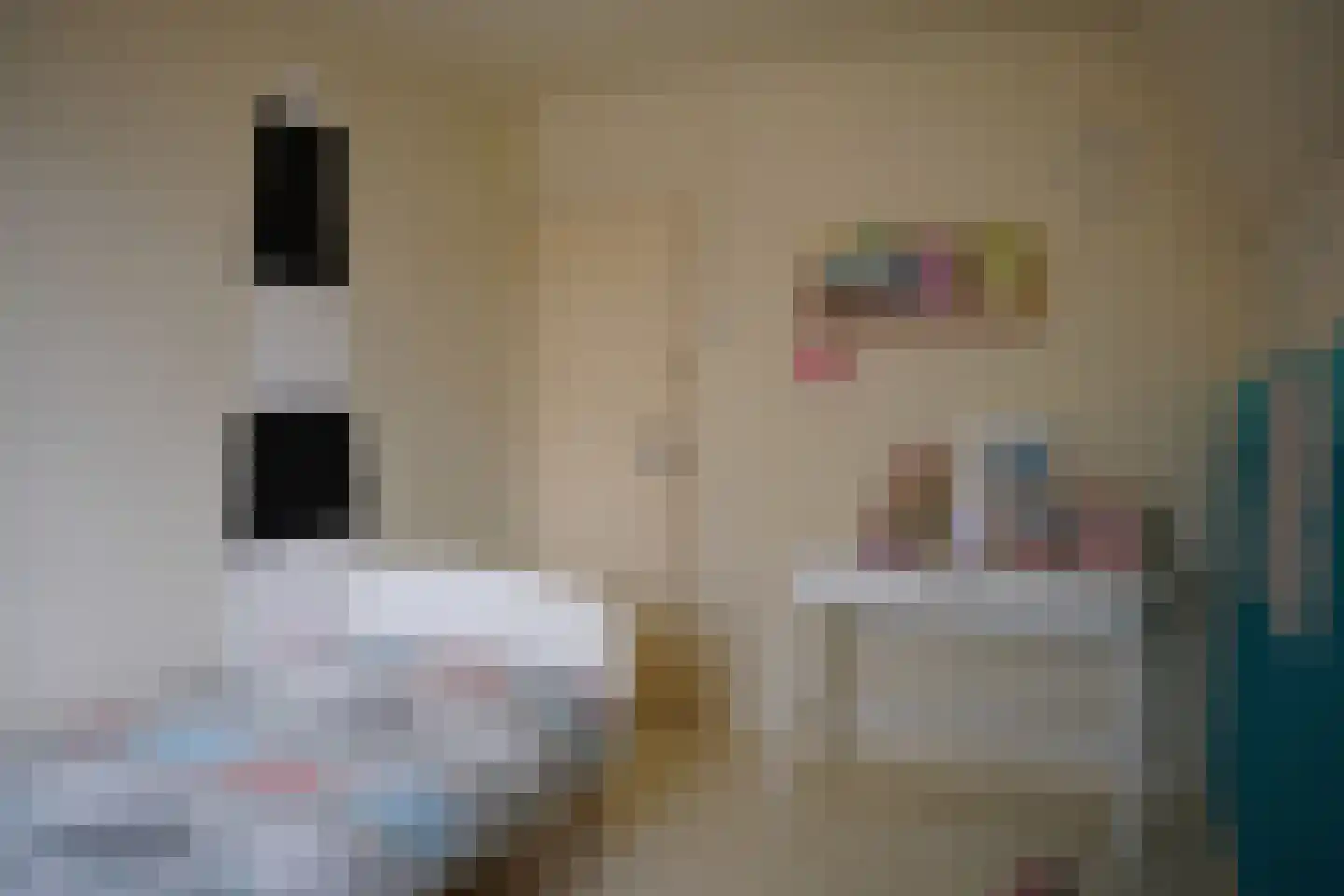 Oostburgsestraat 29 Zuidzande thumbnail 23
