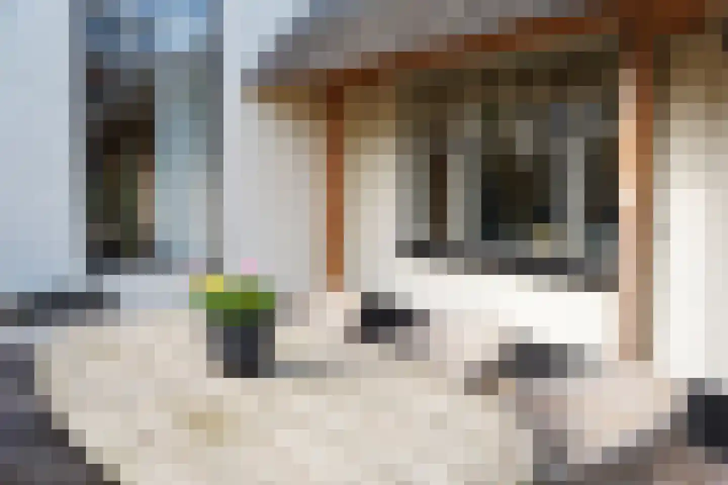 Oostburgsestraat 29 Zuidzande thumbnail 31