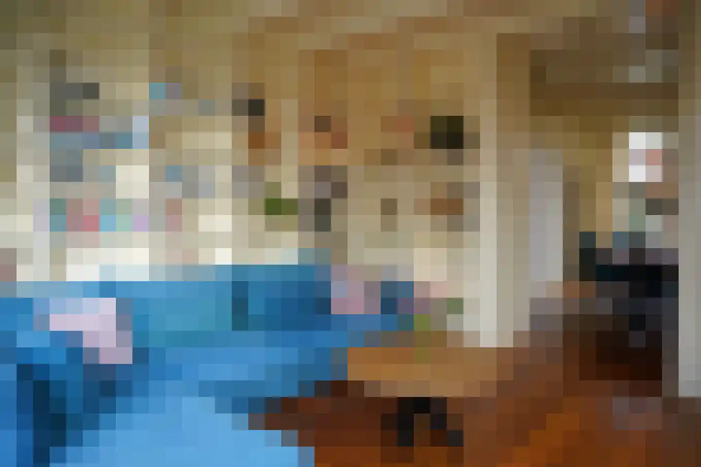 Oostburgsestraat 29 Zuidzande thumbnail 6