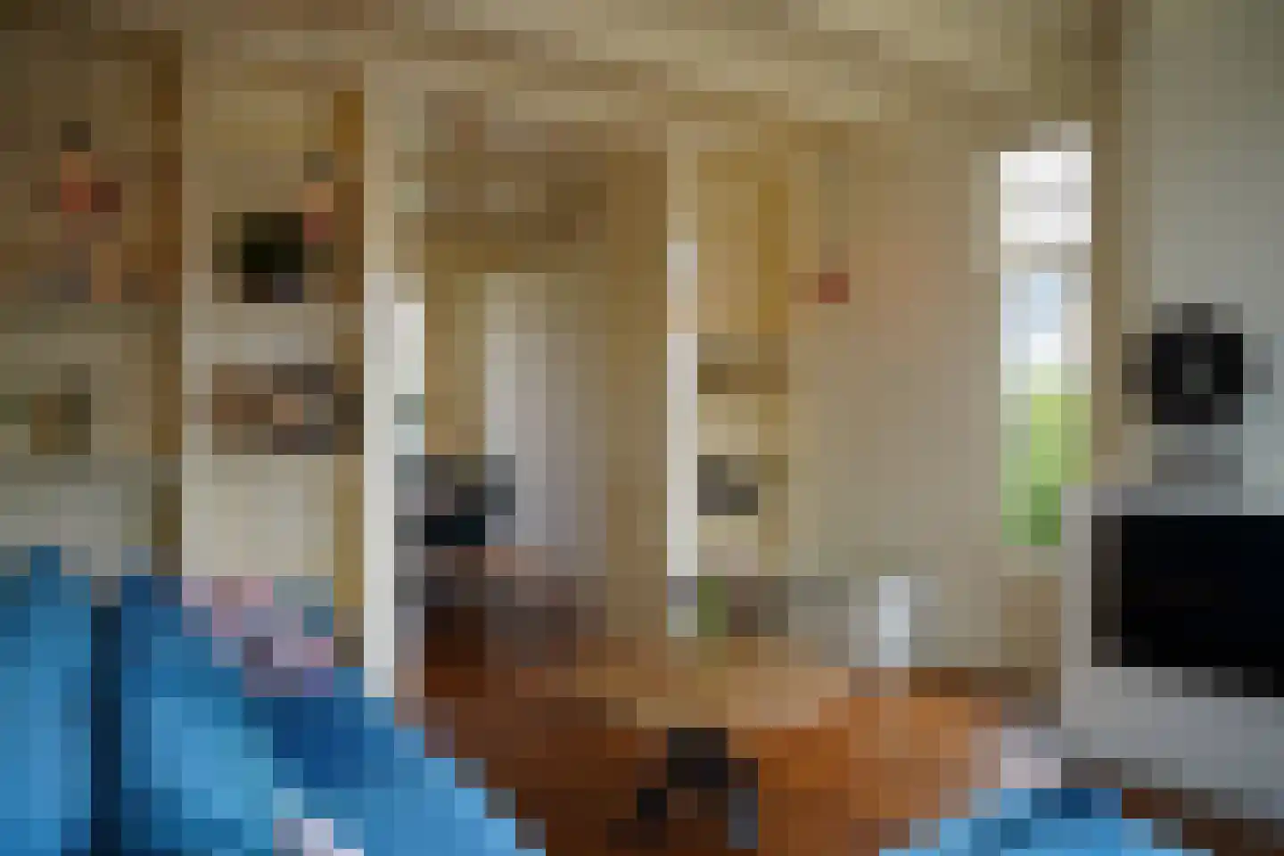 Oostburgsestraat 29 Zuidzande thumbnail 7