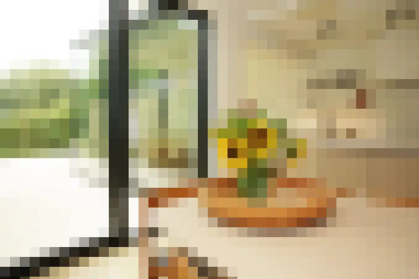 Oostburgsestraat 8 Zuidzande thumbnail 10
