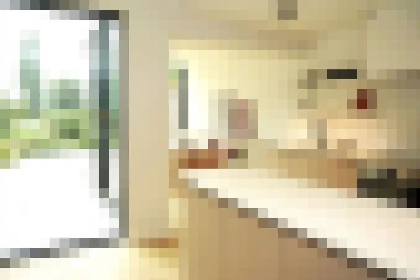 Oostburgsestraat 8 Zuidzande thumbnail 12