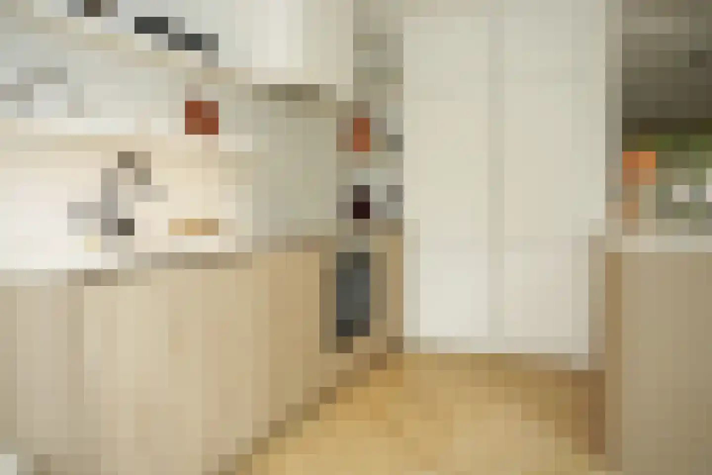 Oostburgsestraat 8 Zuidzande thumbnail 13