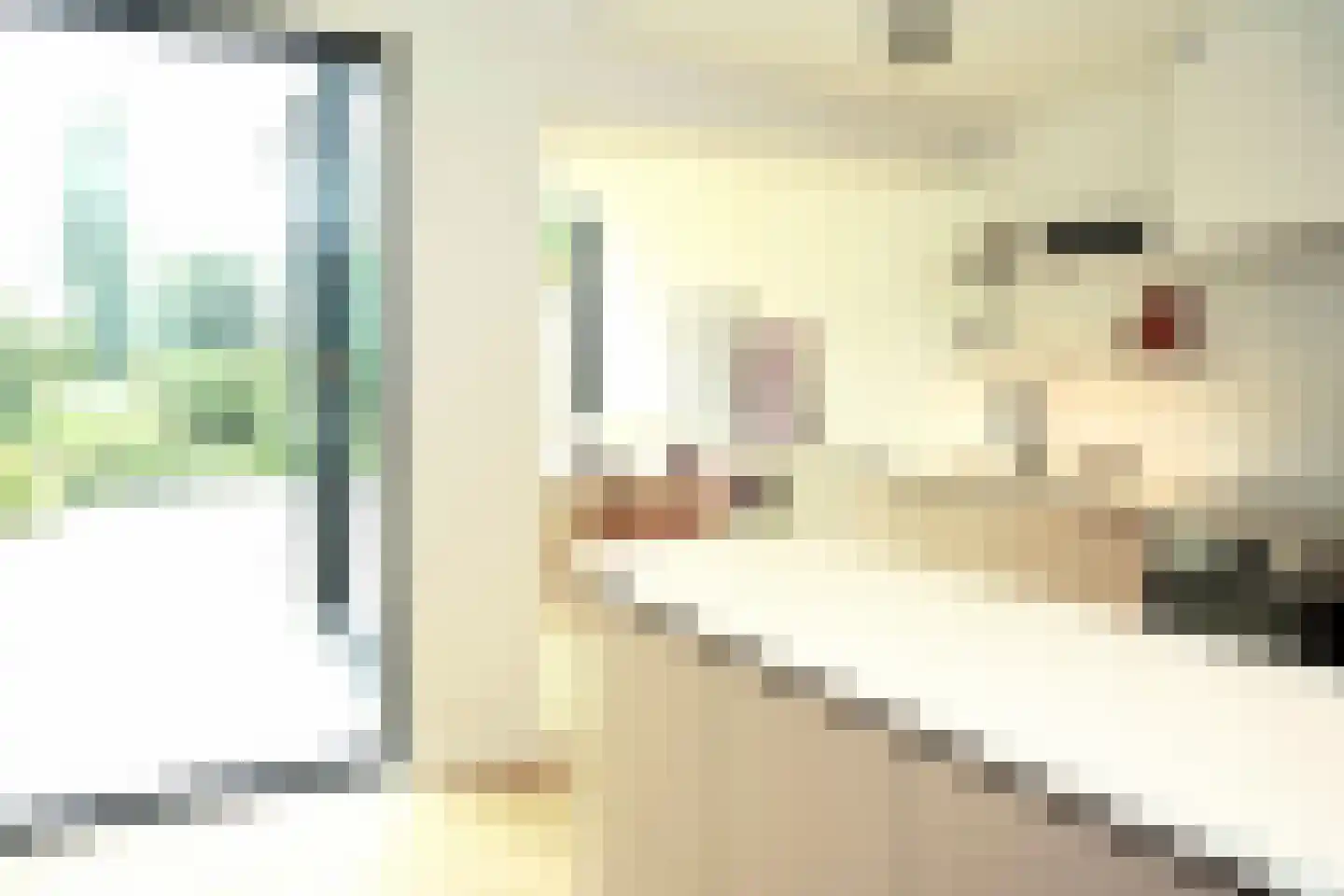 Oostburgsestraat 8 Zuidzande thumbnail 13