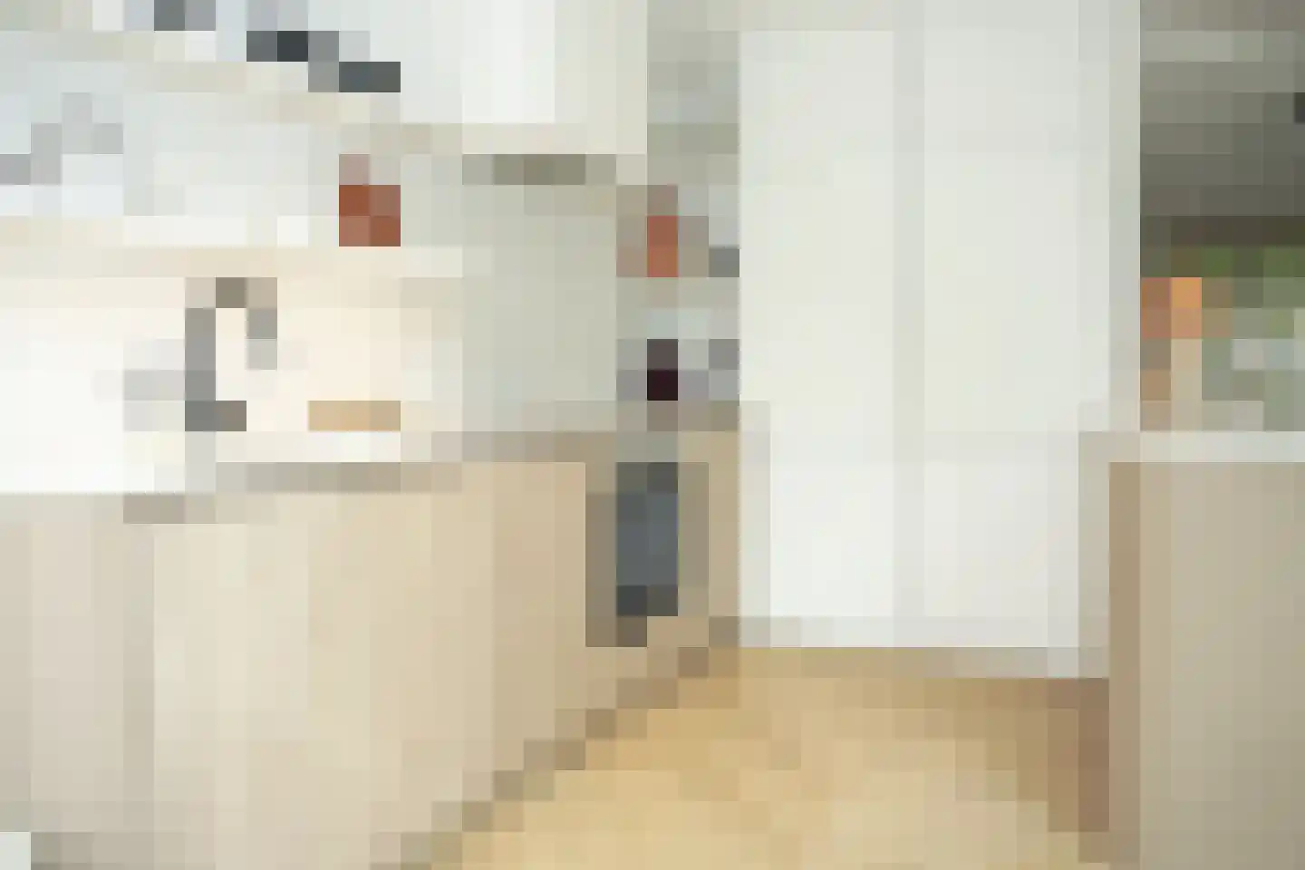 Oostburgsestraat 8 Zuidzande thumbnail 14