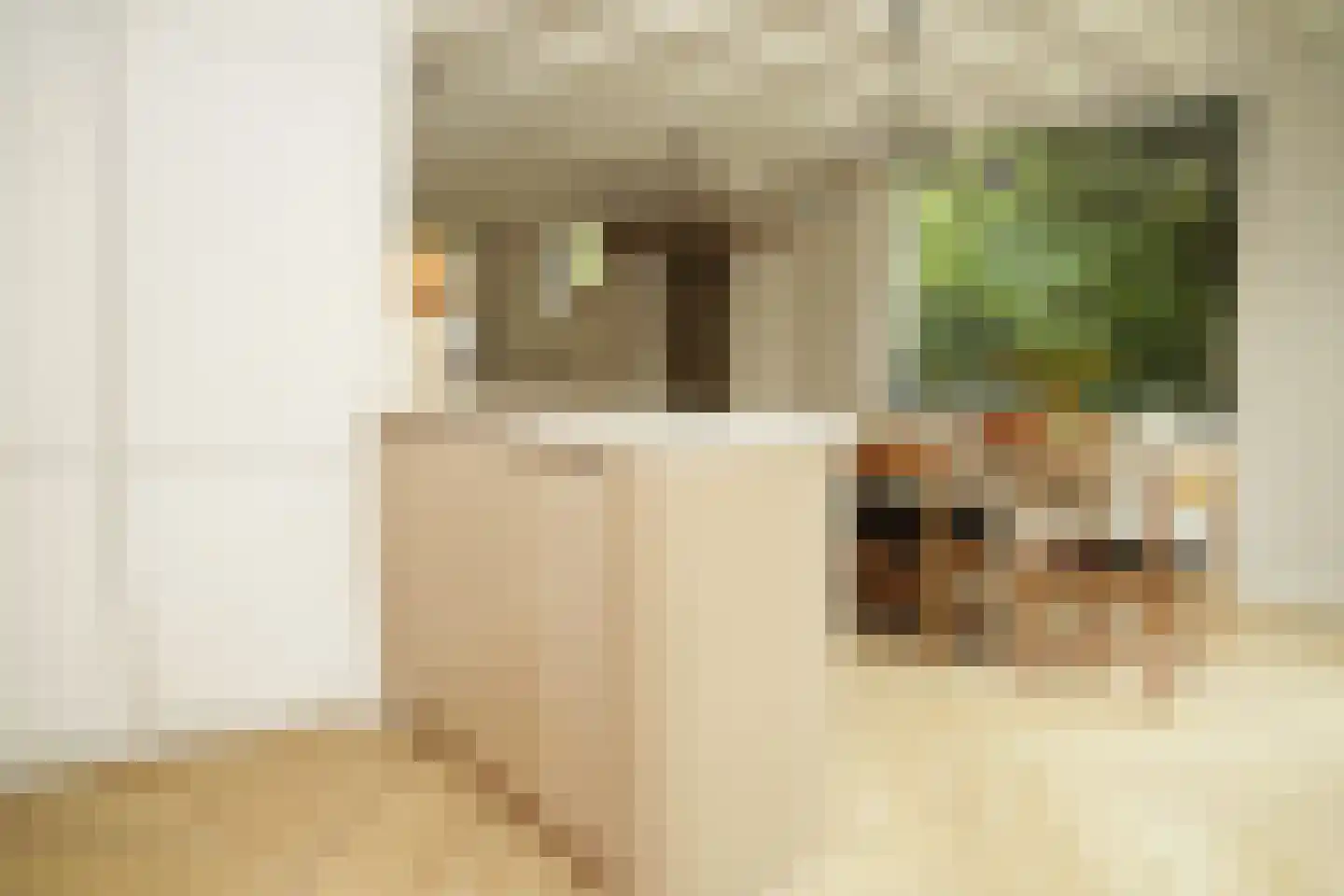 Oostburgsestraat 8 Zuidzande thumbnail 14