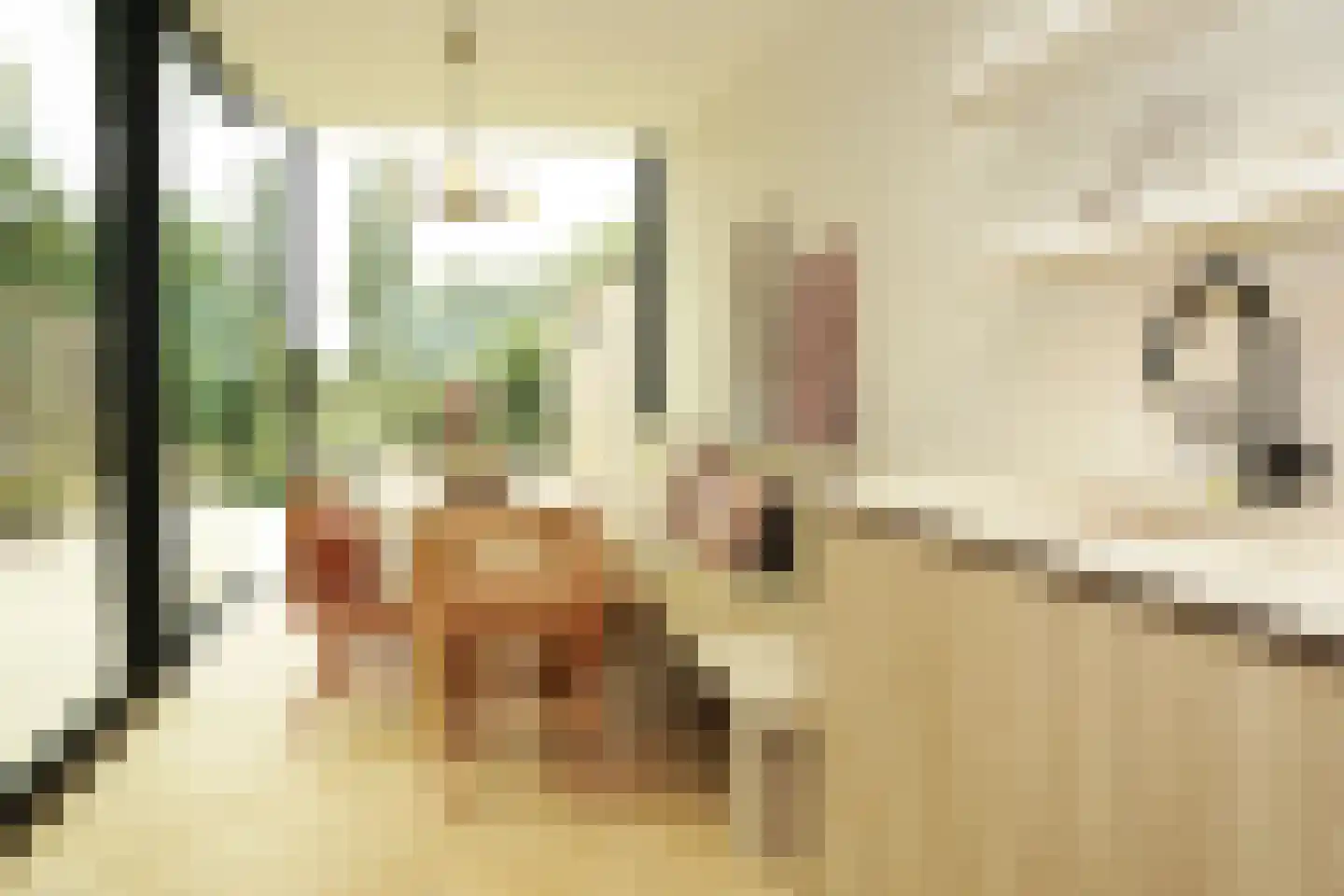 Oostburgsestraat 8 Zuidzande thumbnail 15