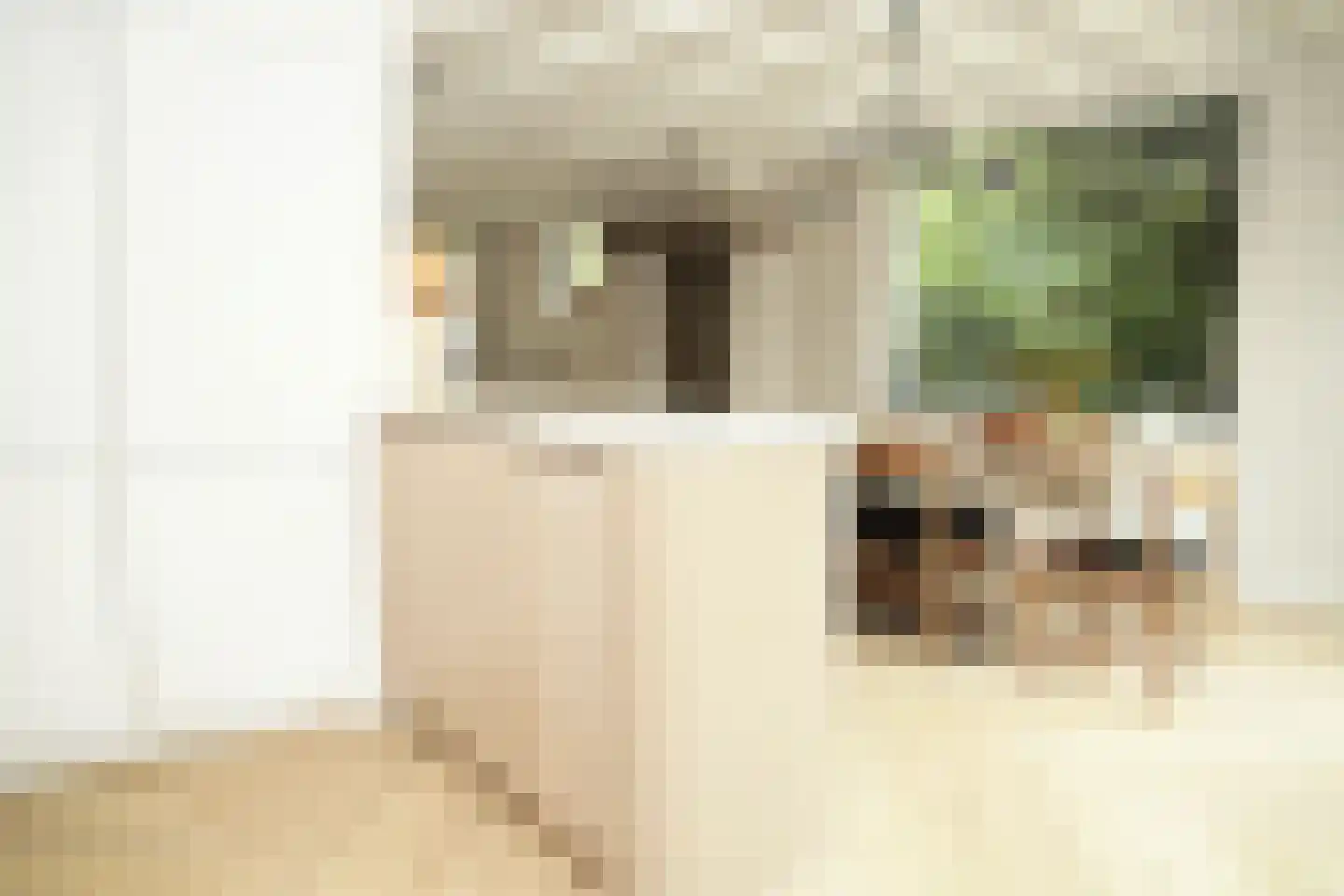 Oostburgsestraat 8 Zuidzande thumbnail 15