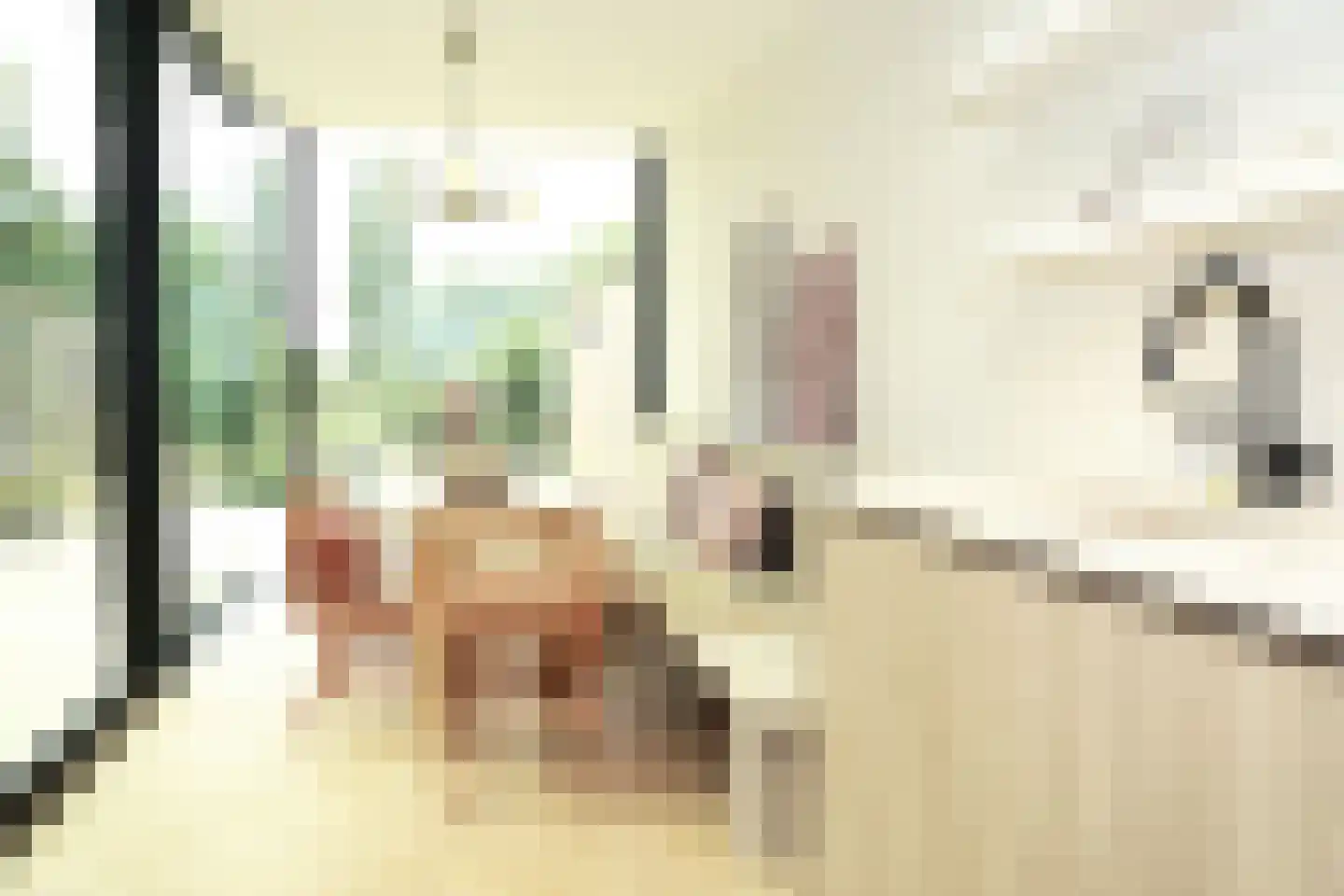 Oostburgsestraat 8 Zuidzande thumbnail 16
