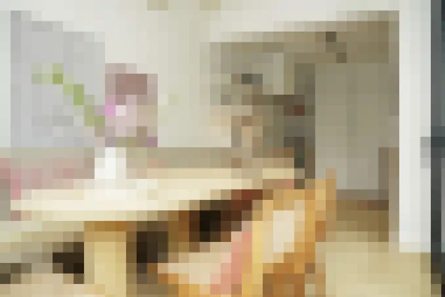Oostburgsestraat 8 Zuidzande thumbnail 17