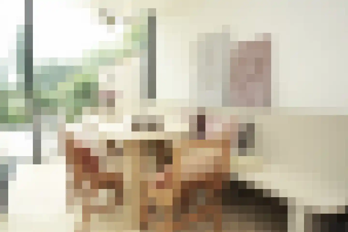 Oostburgsestraat 8 Zuidzande thumbnail 17