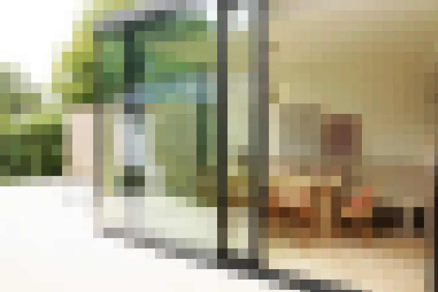 Oostburgsestraat 8 Zuidzande thumbnail 18