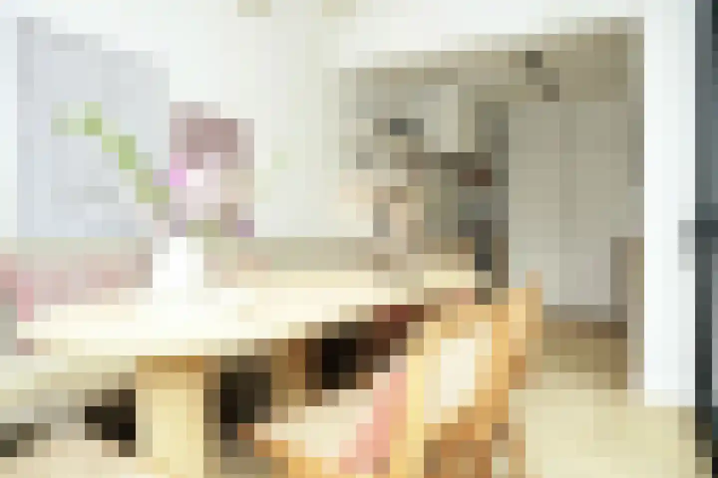 Oostburgsestraat 8 Zuidzande thumbnail 18