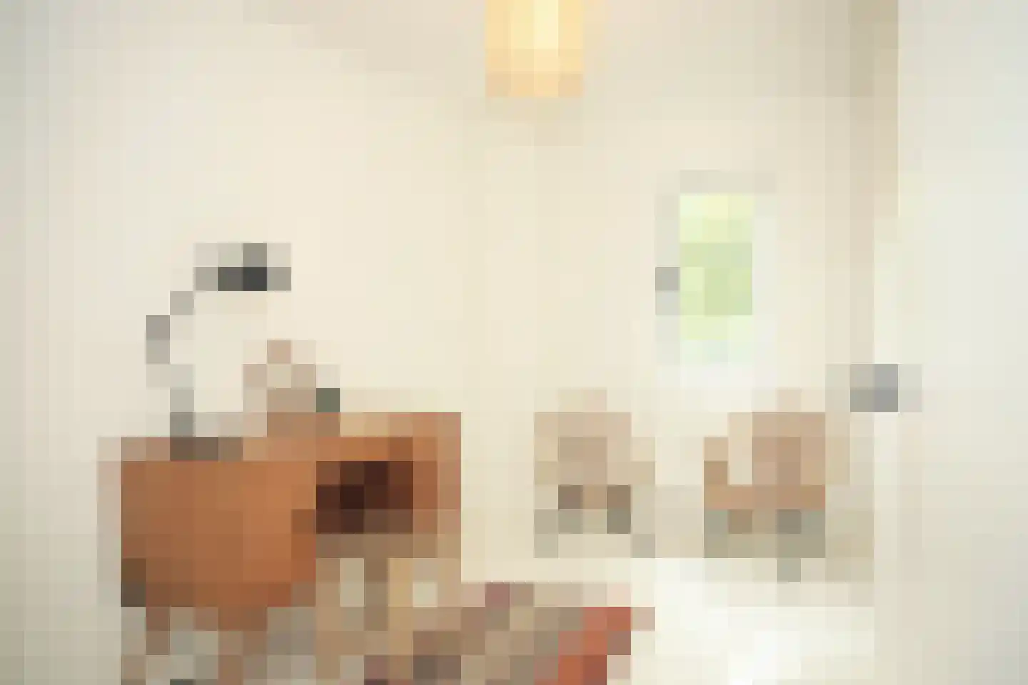 Oostburgsestraat 8 Zuidzande thumbnail 24