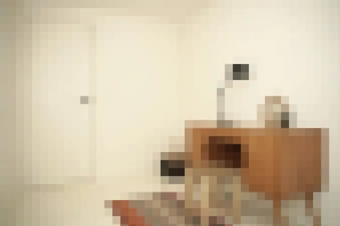 Oostburgsestraat 8 Zuidzande thumbnail 25