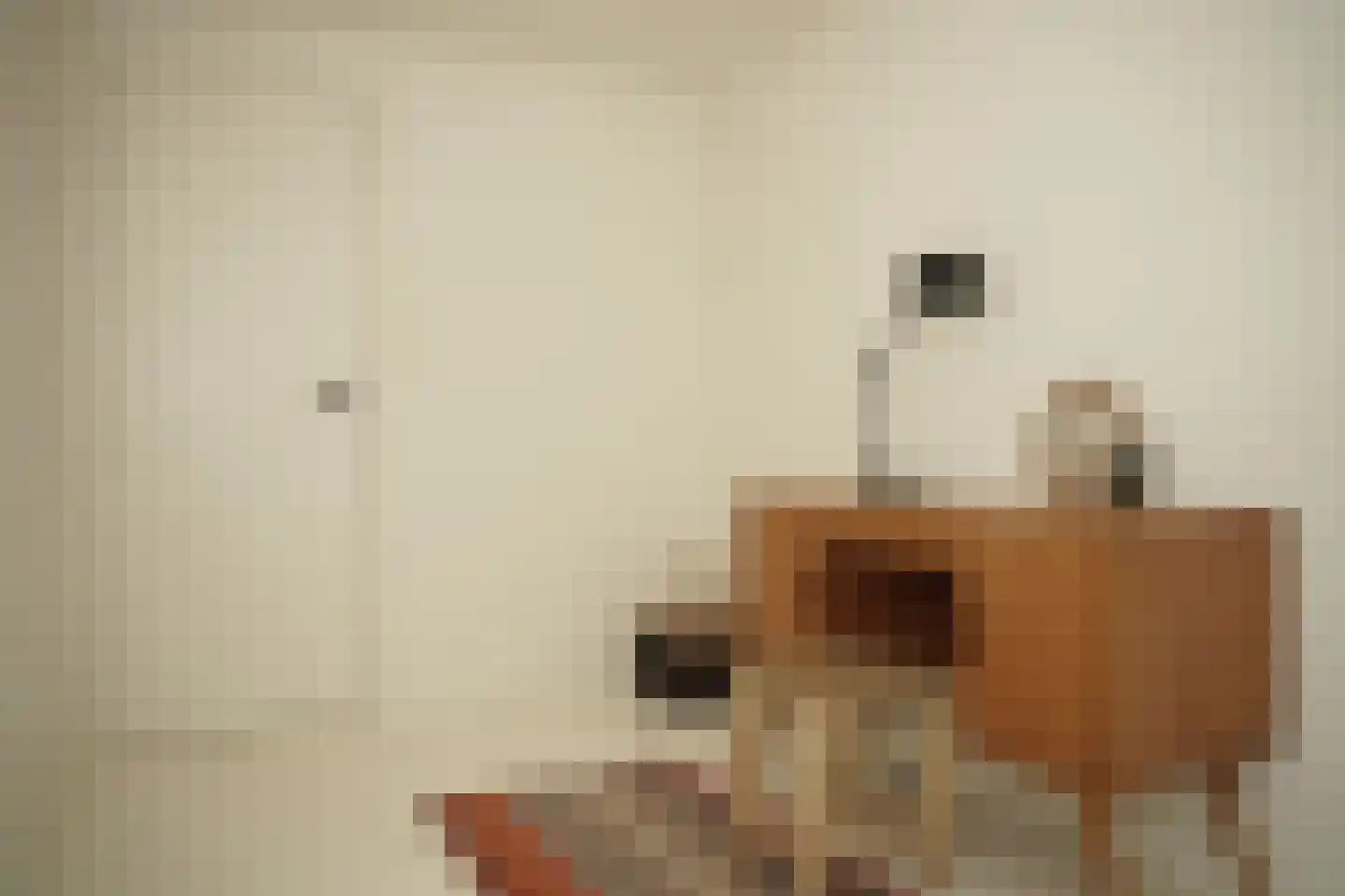Oostburgsestraat 8 Zuidzande thumbnail 25