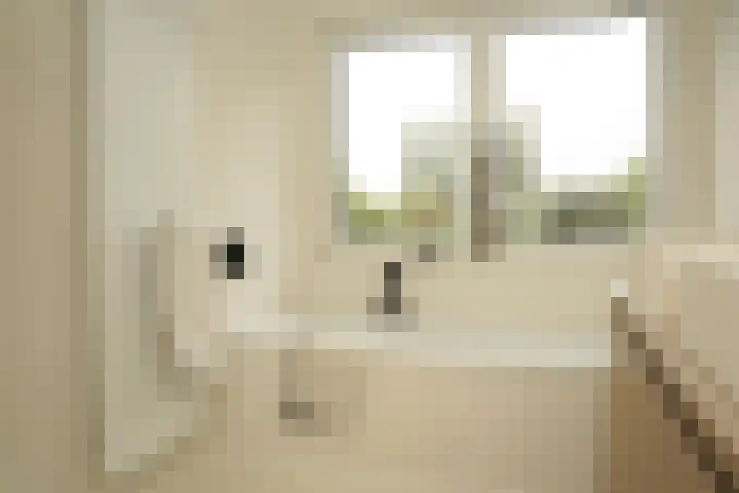 Oostburgsestraat 8 Zuidzande thumbnail 28